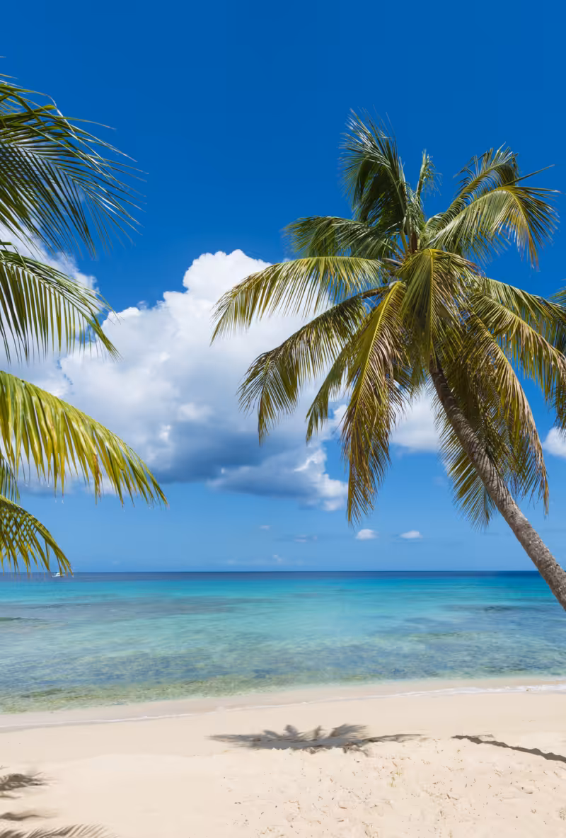 barbados